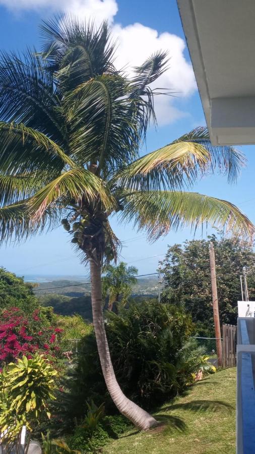 Вілла Million Dollar View In Puerto Rico Лукільо Екстер'єр фото