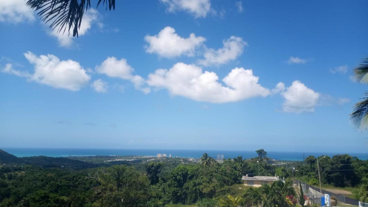 Вілла Million Dollar View In Puerto Rico Лукільо Екстер'єр фото